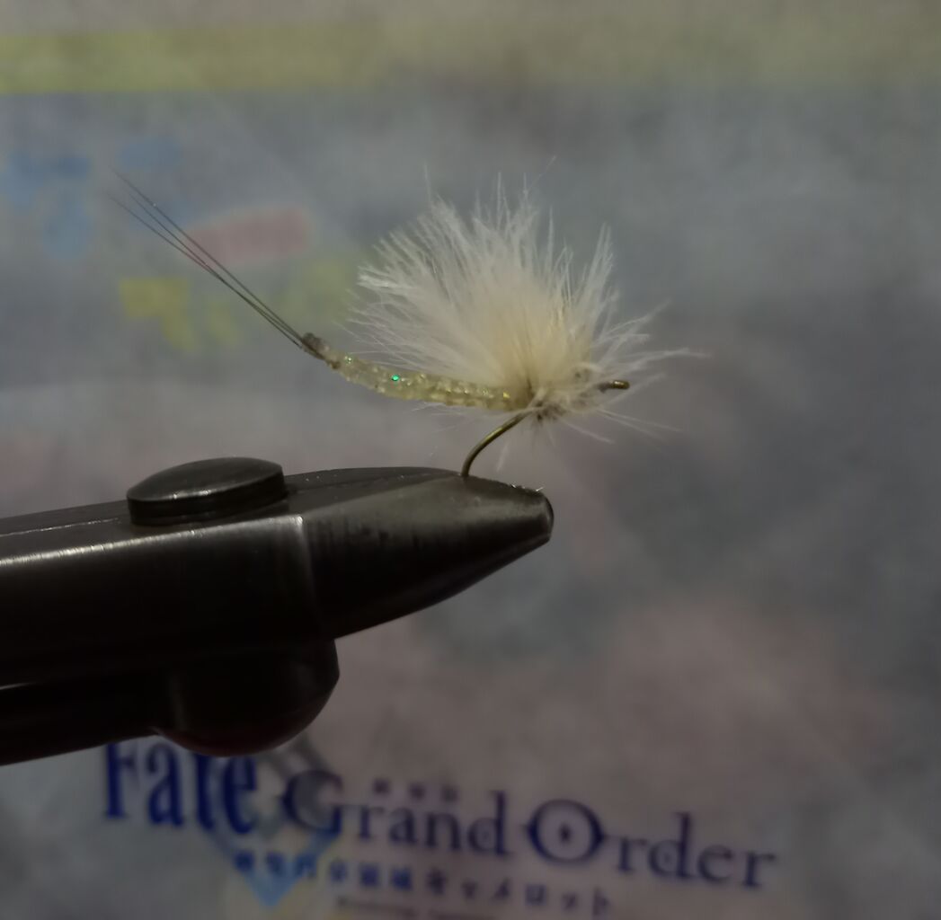 なまずの飼育日記