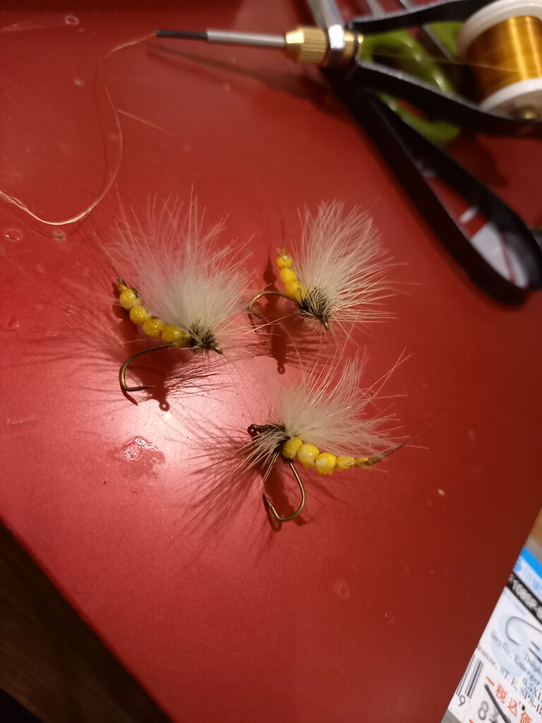 なまずの飼育日記