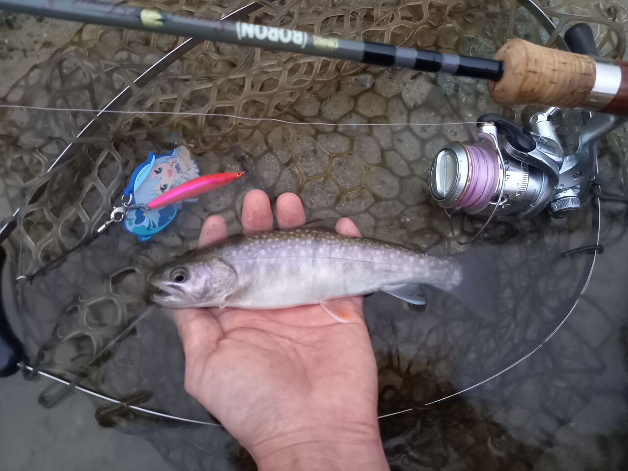 渓流のルアーフィッシング21 フローティングミノーで本流のアマゴを釣る その5 なまずの飼育日記