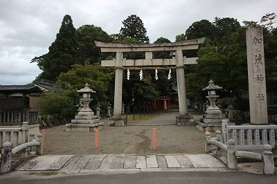 イメージ 27