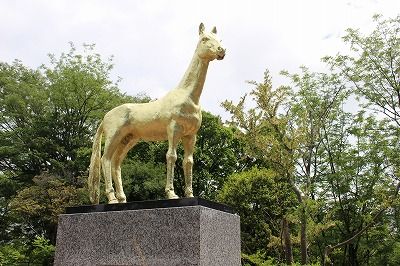 イメージ 48