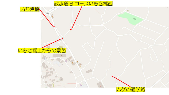 泣き猫ブログ素材8