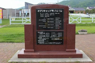 イメージ 16