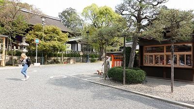 イメージ 50