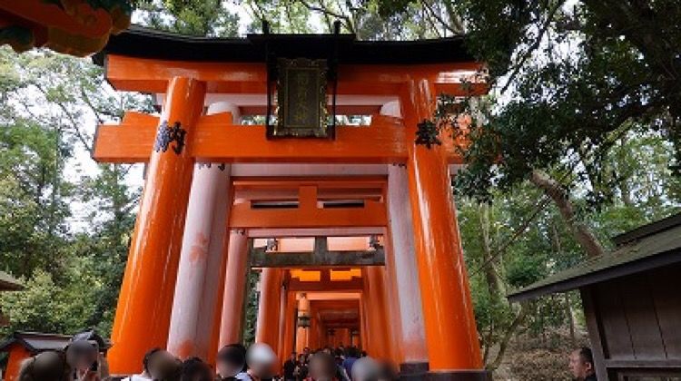 イメージ 53