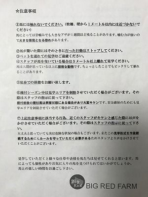 イメージ 14