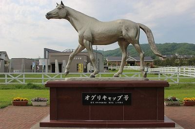 イメージ 17