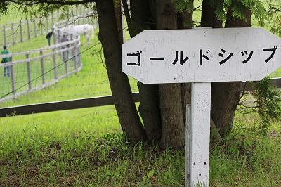 イメージ 8