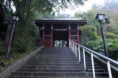 イメージ 11