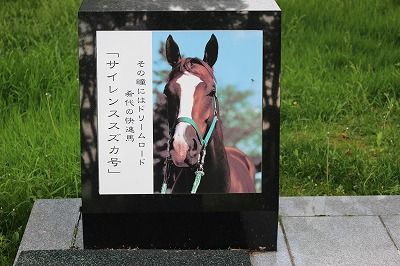 イメージ 29
