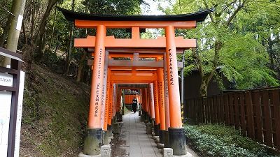 イメージ 60