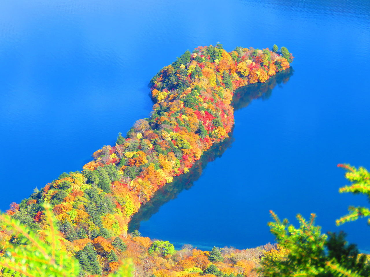 10 26 八丁出島の紅葉 ３７期交流ブログ