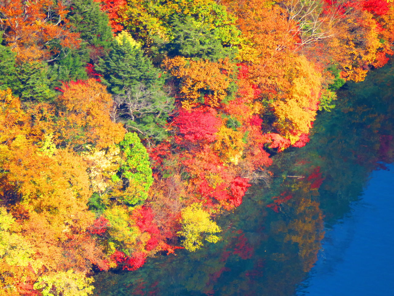 10 26 八丁出島の紅葉 ３７期交流ブログ