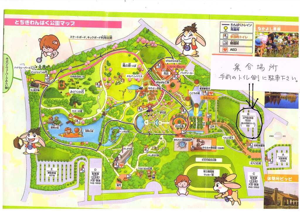 ウォーク37 10月例会 わんぱく公園 のご案内 37期交流ブログ ウォーク37 10月例会 わんぱく公園 のご案内 37期交流ブログ