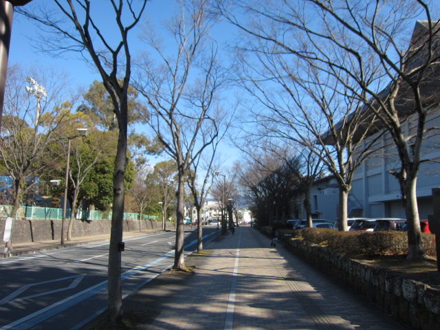 イメージ 5