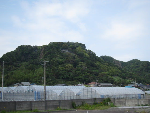 イメージ 8