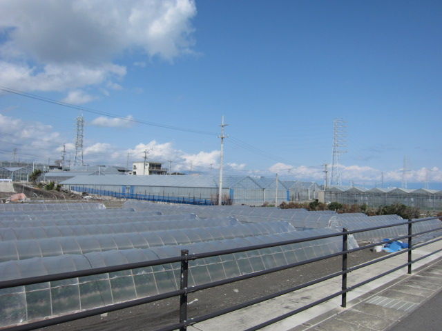 イメージ 6