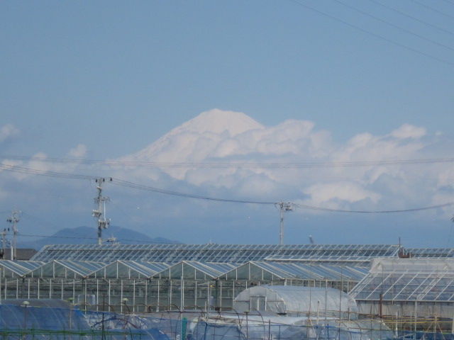 イメージ 7