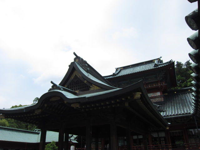 イメージ 7