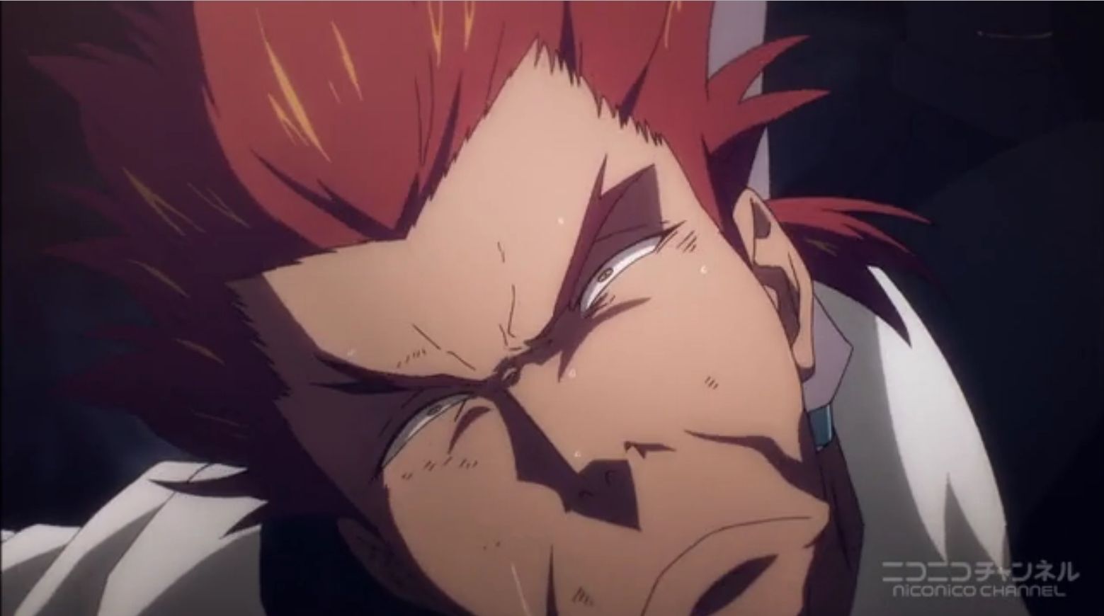 新世紀ニコニコアニメ速報