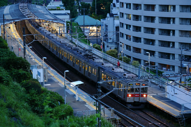 IMG_8119