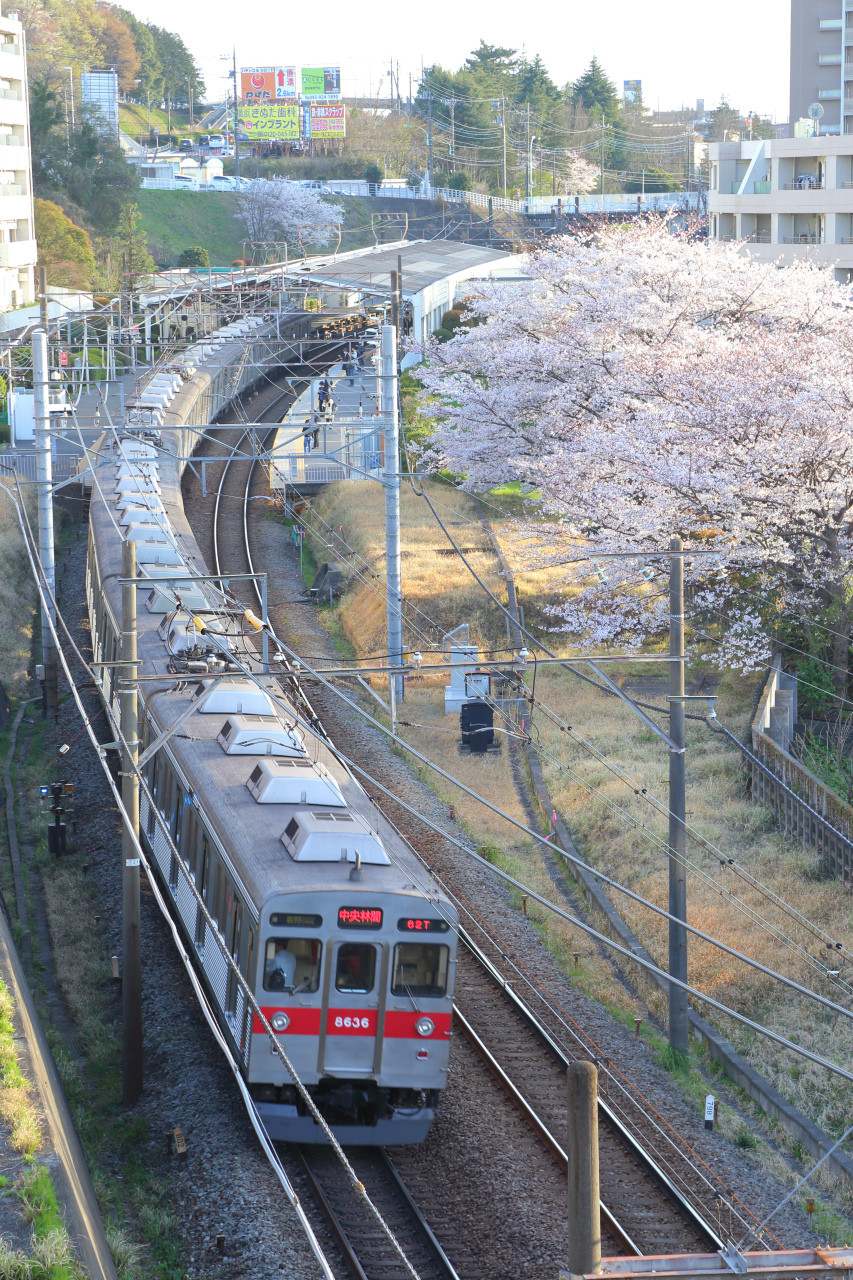 東急 方向板 田園都市線 梶が谷 すずかけ台 8606Fは令和最初の桜を見ることができるか? : 銀色電車研究室
