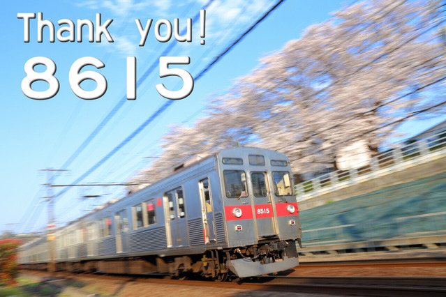 thankyou8615