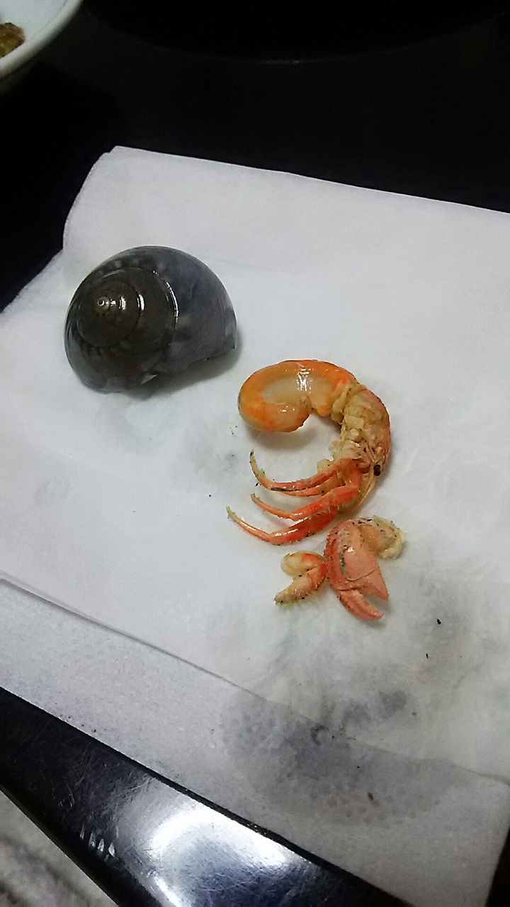 自動ドアホラー 野生児ばんざい