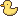 duck1