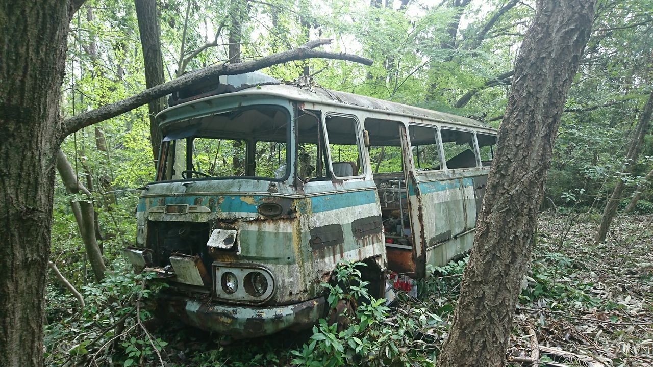 ホラブロ 岐阜県廃墟 古津楽苑 ホワイトスラムの廃バス