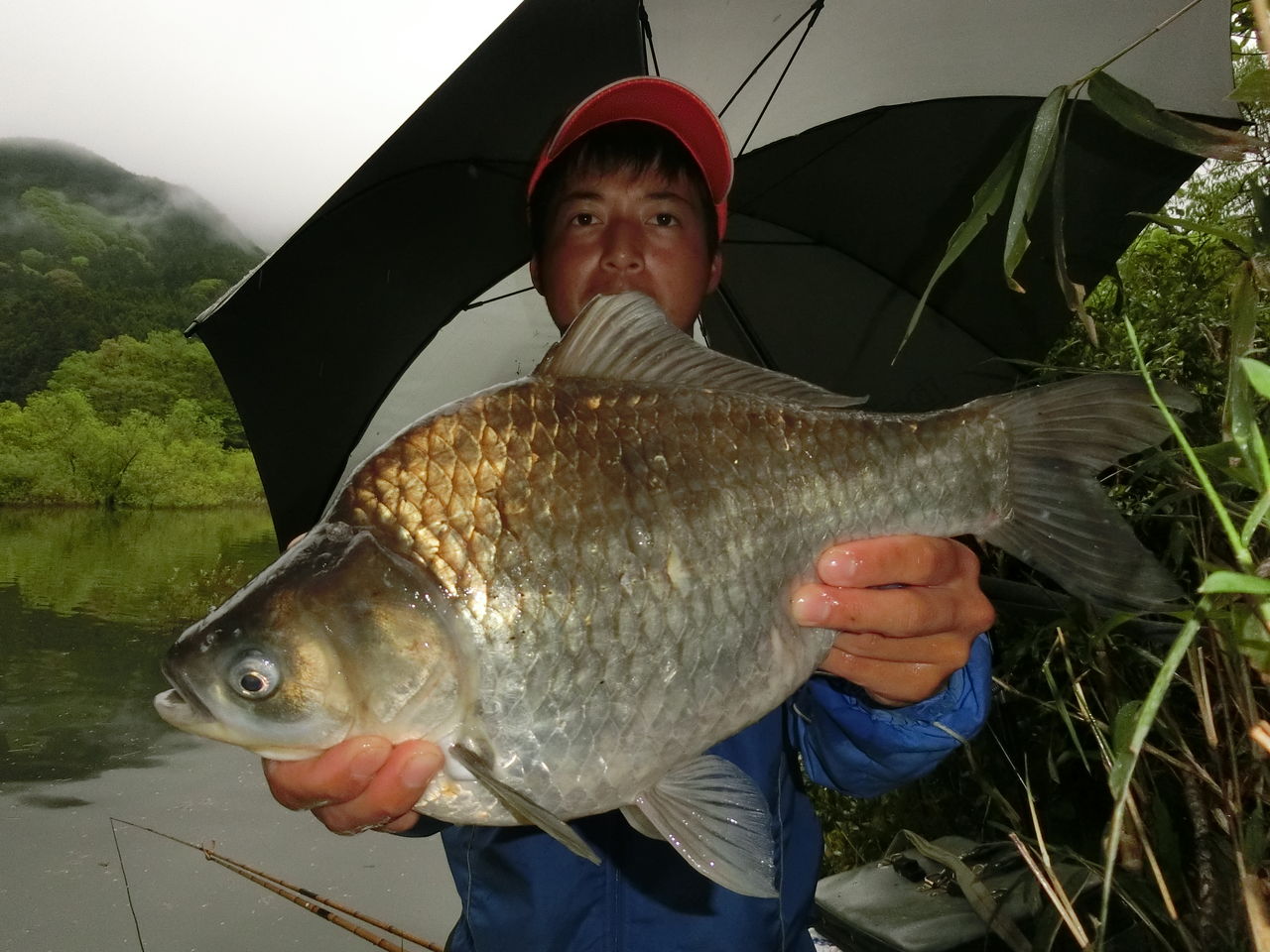 室生ダム へらぶな釣り 尺半を狙え パート2 あつしの釣り紀行2 室生ダム へらぶな釣り 尺半を狙え パート2 あつしの釣り紀行2