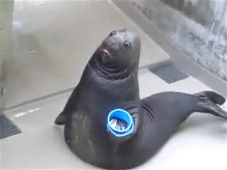 みなぞう 日本縦断ブログ