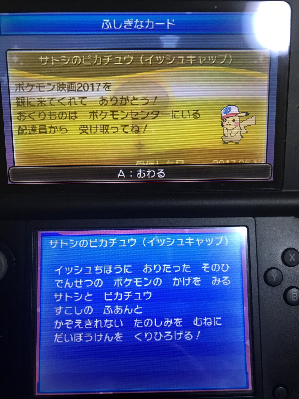イッシュ入りです 暖簾の縁側