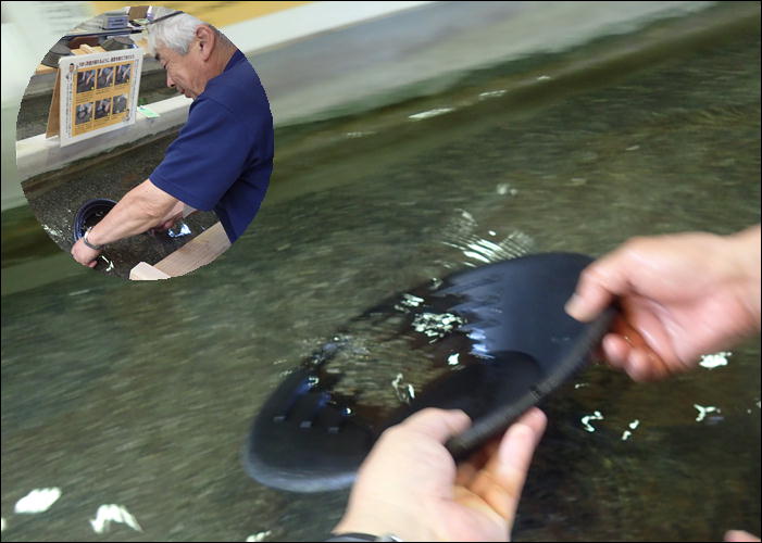 砂金採り 小さな小屋の仲間たち