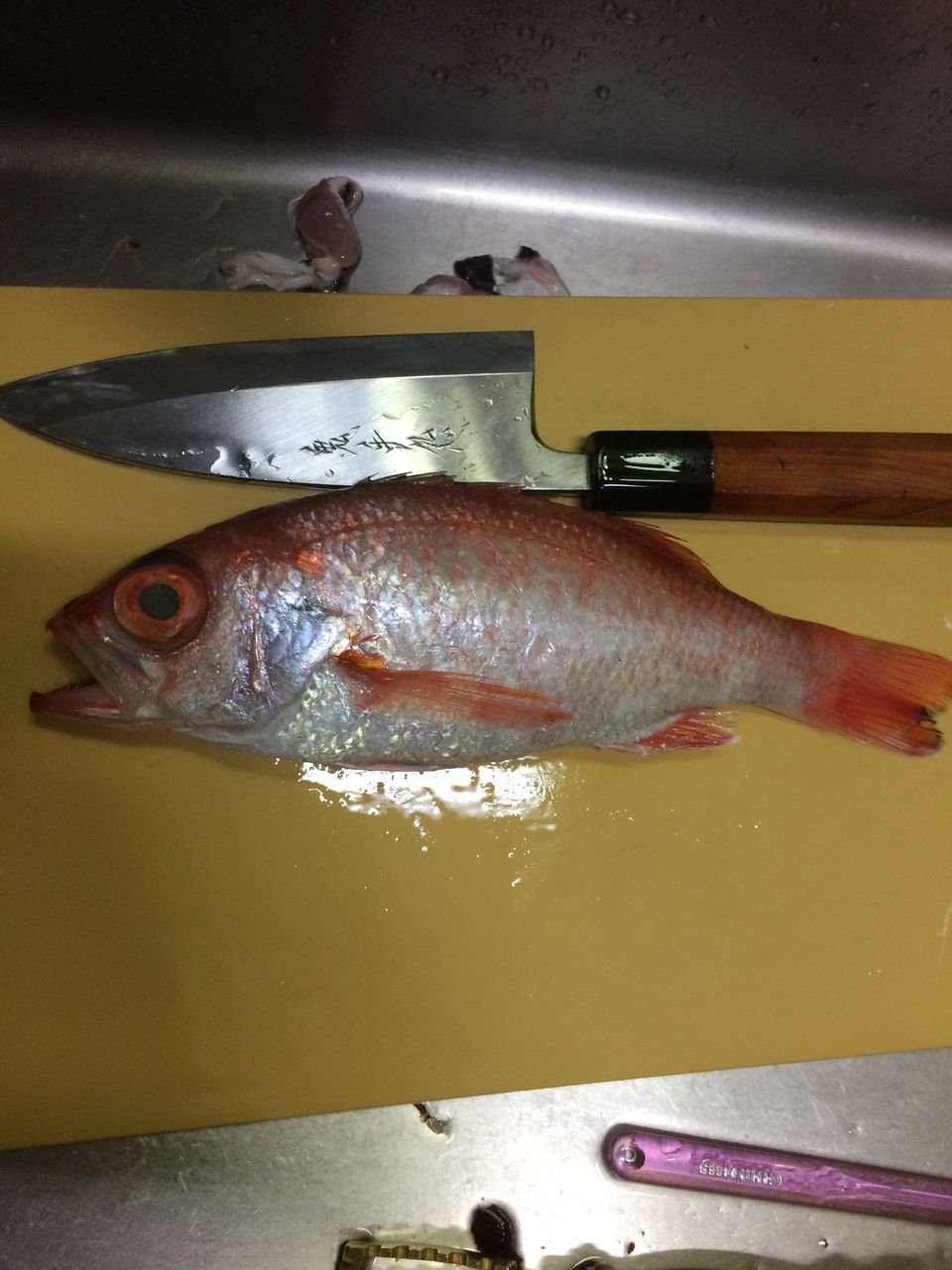 マトウダイ つづりメバル のどぐろ クロザコエビ シジミ 旨魚日記