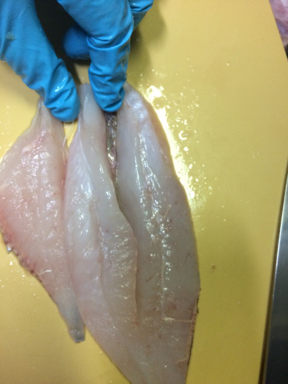 マトウダイ つづりメバル のどぐろ クロザコエビ シジミ 旨魚日記 マトウダイ つづりメバル のどぐろ クロザコエビ シジミ 旨魚日記