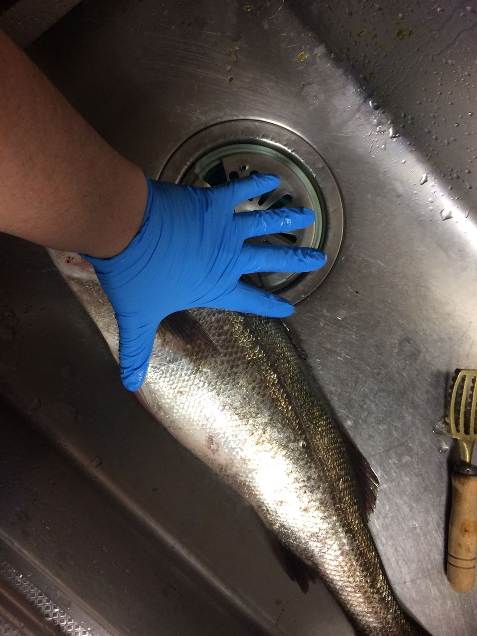 18年05月 旨魚日記