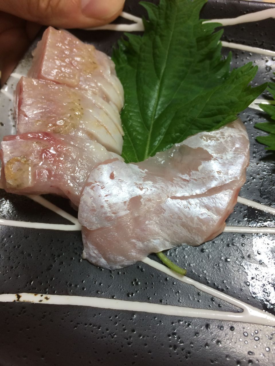 マトウダイ つづりメバル のどぐろ クロザコエビ シジミ 旨魚日記