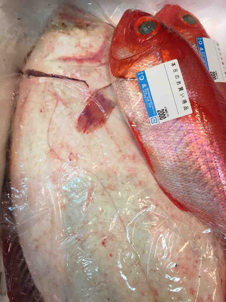 本日のおすすめ 鮮魚 卸売 仕出し 丸庄