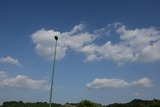 130609adsc_0086