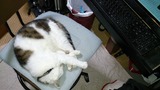 20140817011526