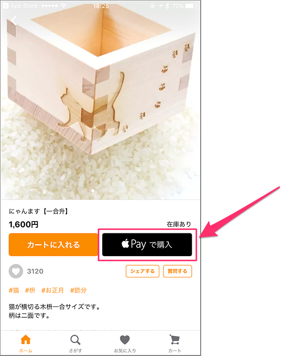 Apple_Pay05a