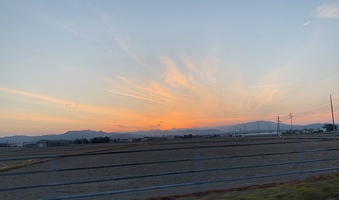 IMG_1229