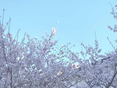 dJkVQ4LLQ2aK6KcTK_7EnQ