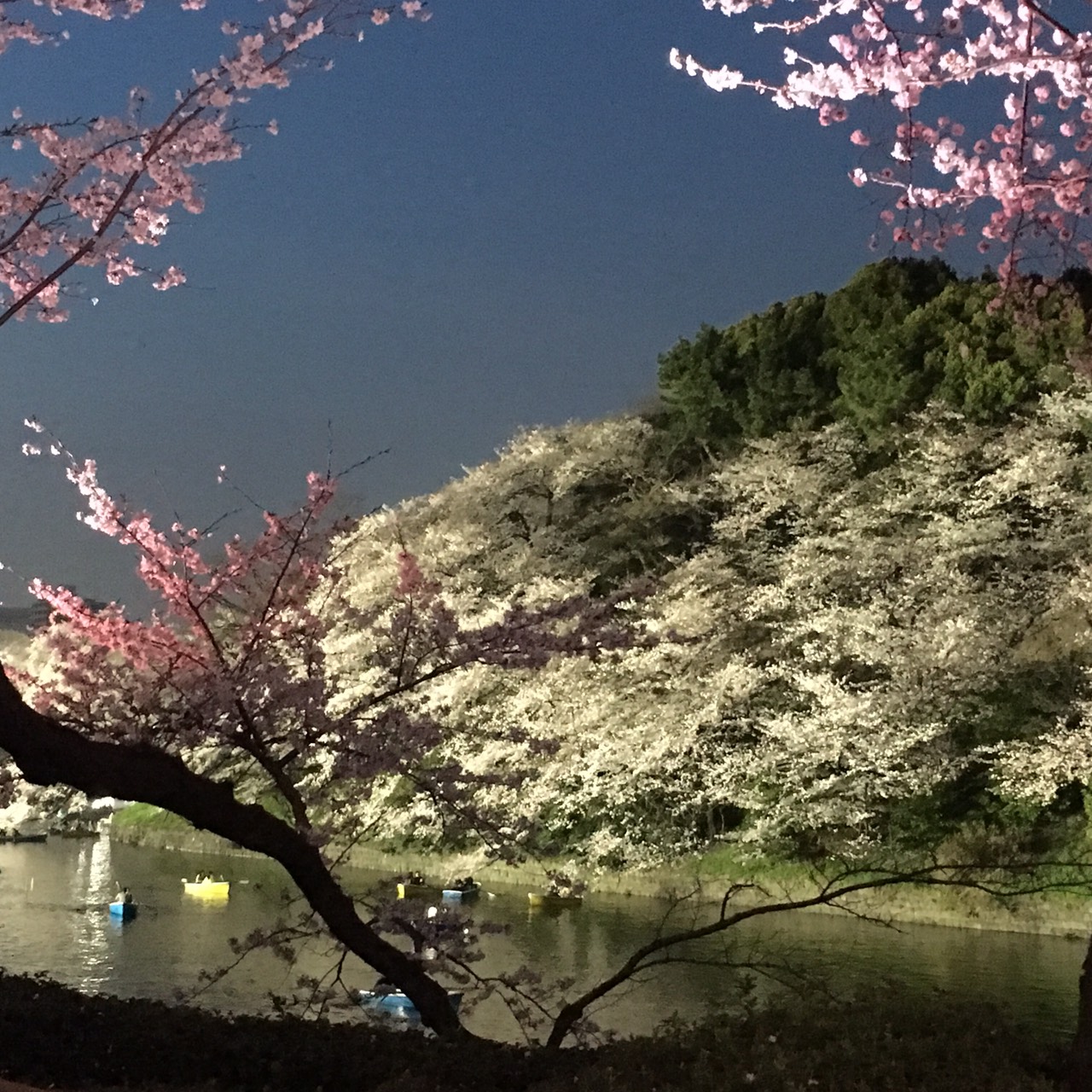 トールペイント 桜のティーマット : SimpleSlowなペイントライフ トールペイント 桜のティーマット : SimpleSlowなペイントライフ