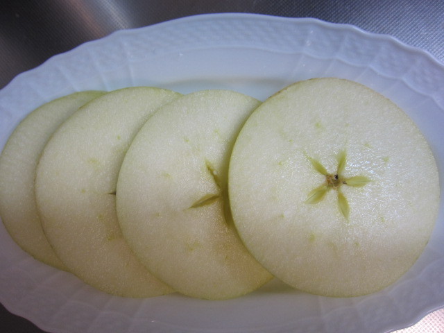 りんごの輪切りは 食べやすい 栄養がたっぷり Simpleslowなペイントライフ