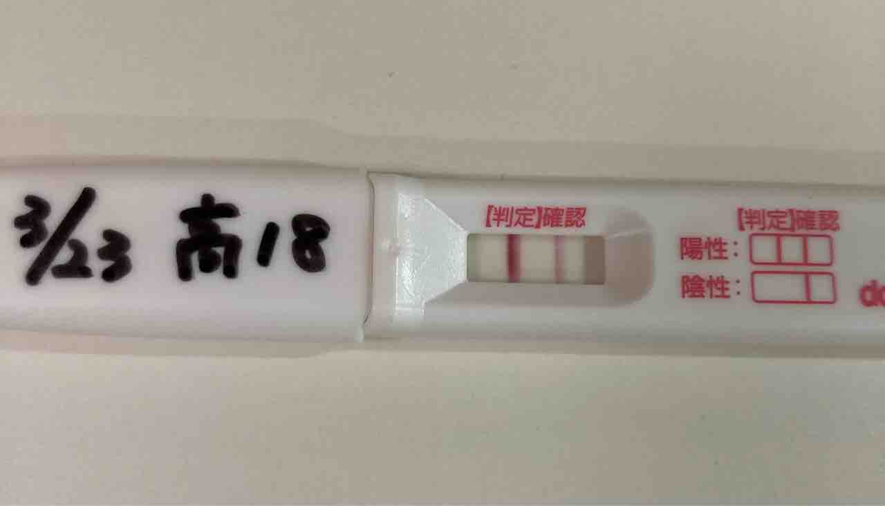 2周期目 D36高温期18日目 妊娠検査薬 39歳 妊活始めました 2周期目 D36高温期18日目 妊娠検査薬 39歳 妊活始めました