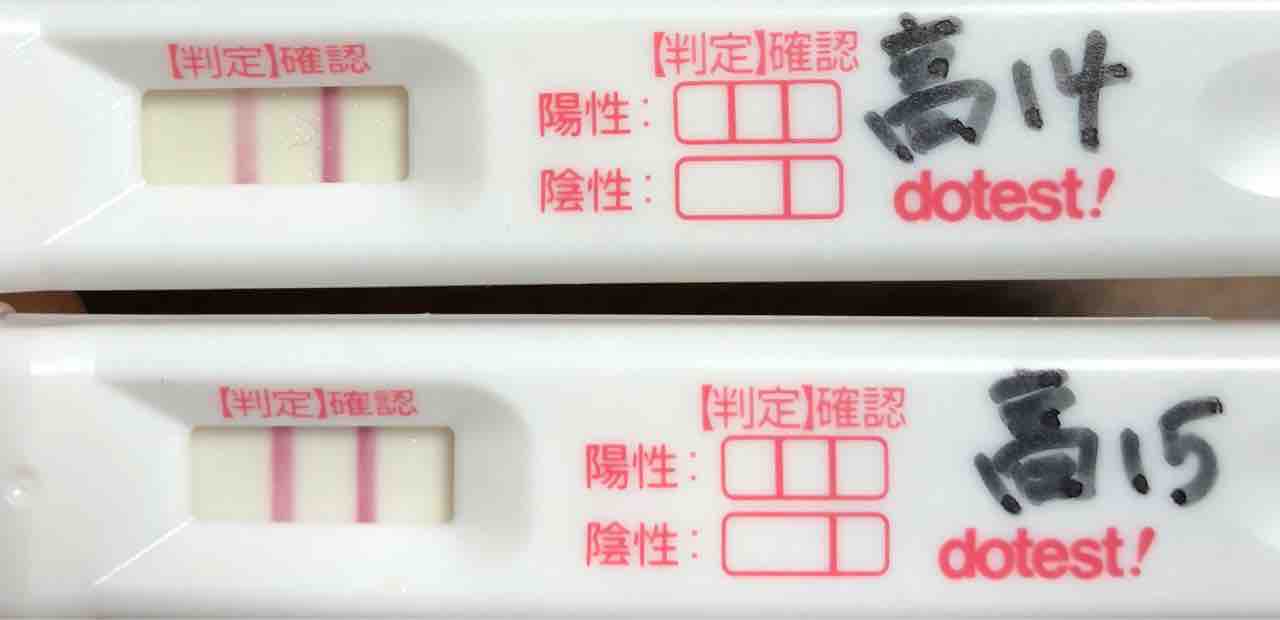 高温期10日目 ドゥーテスト 陰性から陽性