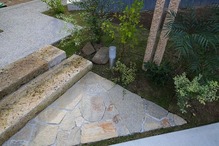 ���ץ�����
