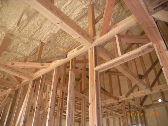 フォームライトSL